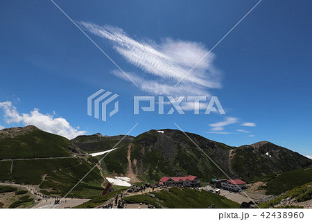 乗鞍岳 畳平の夏 乗鞍岳 畳平の夏 42438960