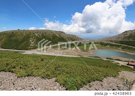 乗鞍岳　畳平の夏 42438963