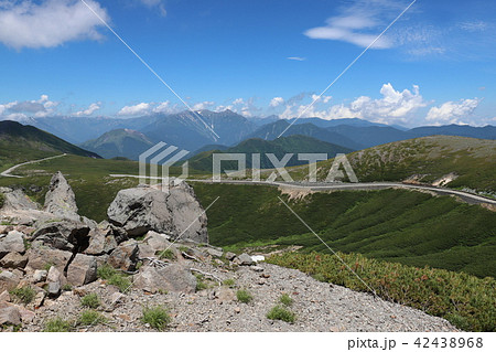 乗鞍岳 畳平の夏 乗鞍岳 畳平の夏 42438968