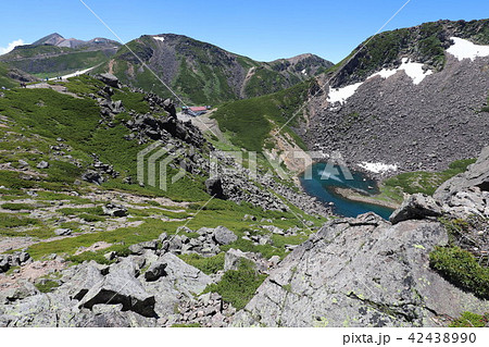 乗鞍岳　畳平の夏 42438990
