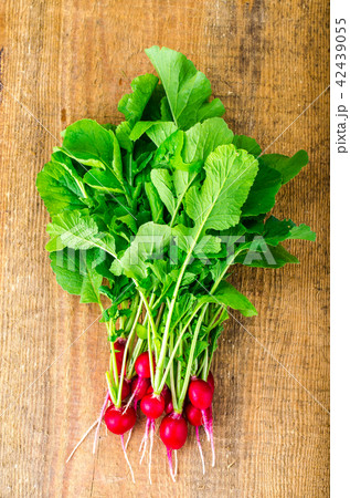 Bunch of fresh red organic radish Bunch of fresh red organic radish 42439055