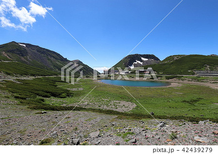 乗鞍岳 畳平の夏 乗鞍岳 畳平の夏 42439279