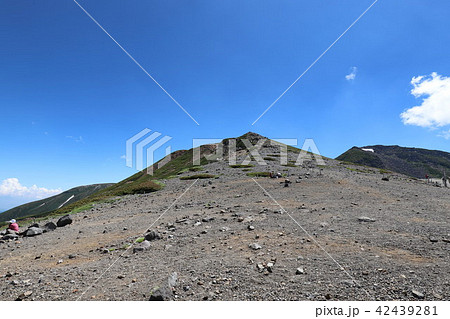 乗鞍岳 畳平の夏 乗鞍岳 畳平の夏 42439281