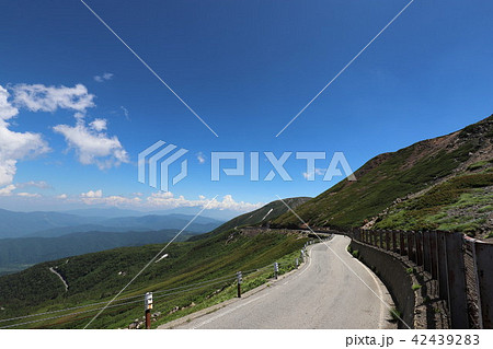 乗鞍岳　畳平の夏 42439283