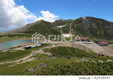 乗鞍岳 畳平の夏 乗鞍岳 畳平の夏 42439447