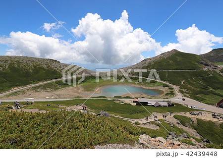 乗鞍岳 畳平の夏 乗鞍岳 畳平の夏 42439448