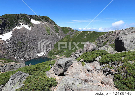 乗鞍岳 畳平の夏 乗鞍岳 畳平の夏 42439449