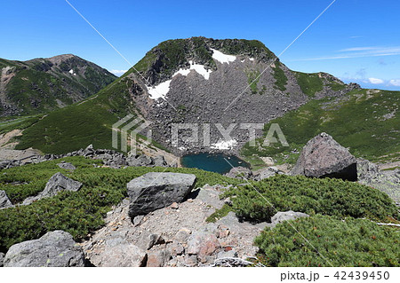 乗鞍岳　畳平の夏 42439450