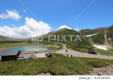 乗鞍岳 畳平の夏 乗鞍岳 畳平の夏 42439463