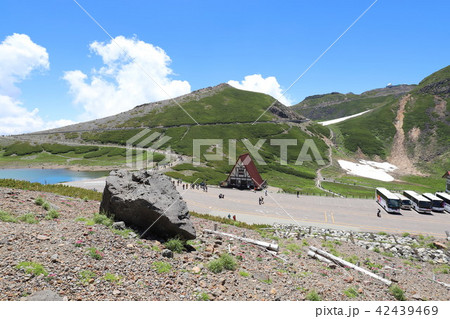 乗鞍岳　畳平の夏 42439469