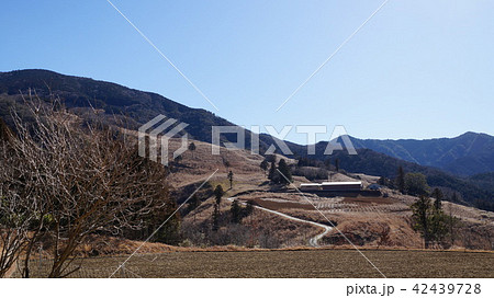 神宮御萱場 神宮御萱場 42439728