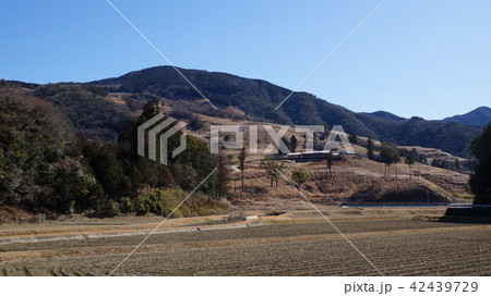 神宮御萱場 42439729