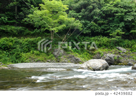 緑の奥多摩 緑の奥多摩 42439882
