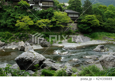 緑の奥多摩 42439889