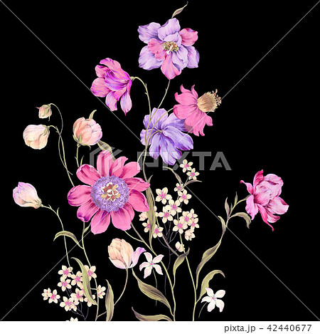 透明水彩 水彩画 花 42440677