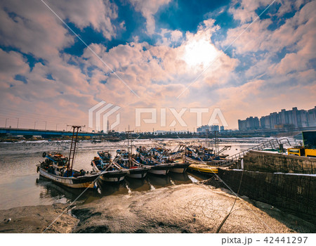 試合 海 牛という潟 42441297