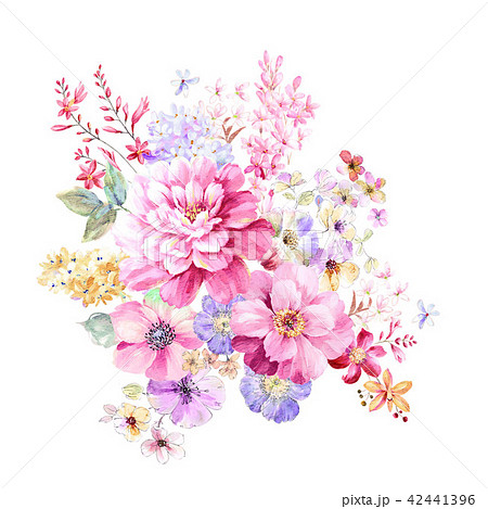 透明水彩 水彩画 花のイラスト素材 42441396 Pixta