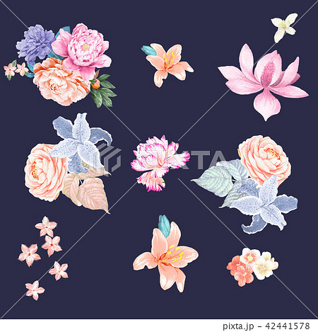 透明水彩 水彩画 花 42441578
