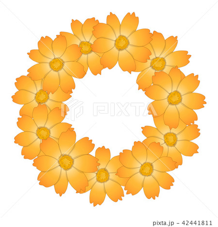 Orange Yellow Cosmos Flower Wreath Orange Yellow Cosmos Flower Wreath 42441811