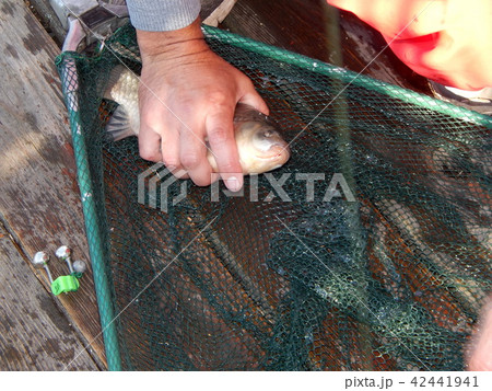 Fishing tackles for fishing rods, floats, nets 42441941