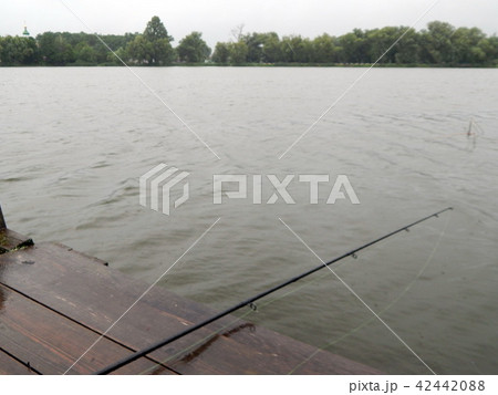 Fishing tackles for fishing rods, floats, nets Fishing tackles for fishing rods, floats, nets 42442088