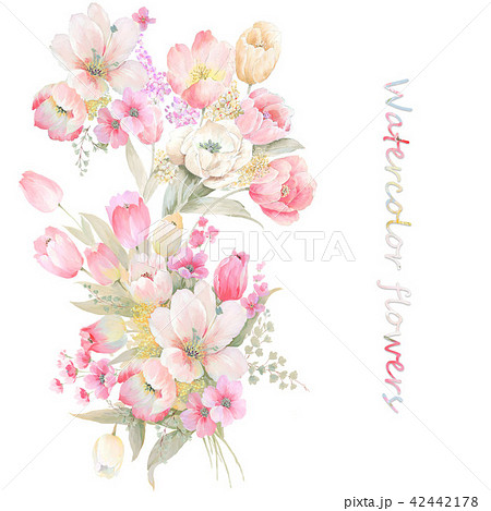 透明水彩 水彩画 花 42442178