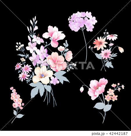 透明水彩 水彩画 薔薇 42442187