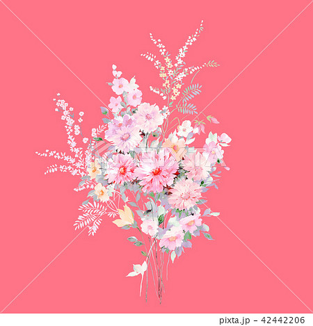 透明水彩 水彩画 花 42442206