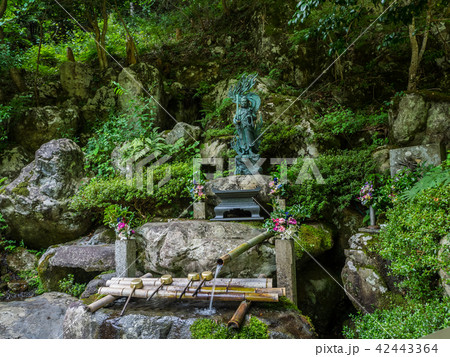 宍粟市の名瀑 原不動滝 宍粟市の名瀑 原不動滝 42443364
