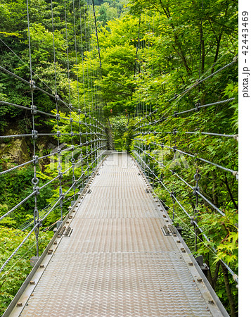 宍粟市の名瀑　原不動滝 42443469