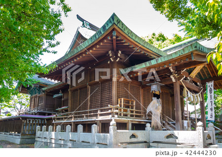 須賀神社本殿 42444230
