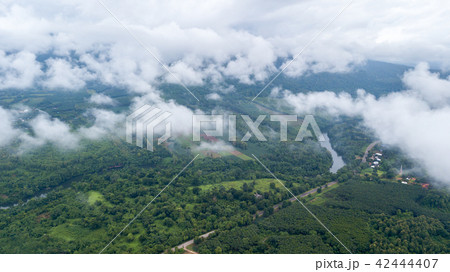 forest and agriculture area in Kanchanaburi 42444407