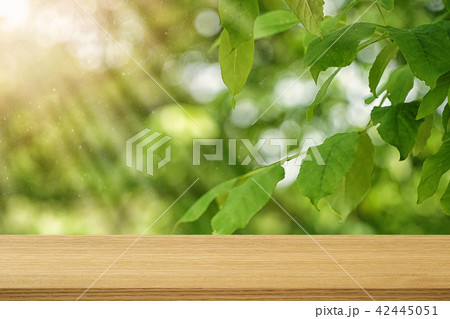 夏 猛暑 暑さ 42445051