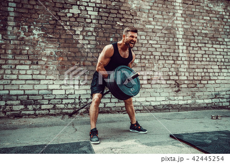 Athletic man working out with a barbell. Strength and motivation. Exercise for the muscles of the 42445254