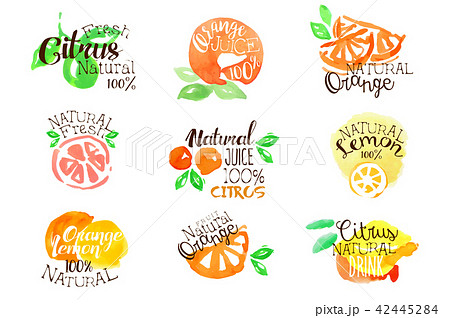 Fesh Citrus Juice Promo Signs Colorful Set 42445284