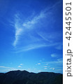 雲　山 42445501