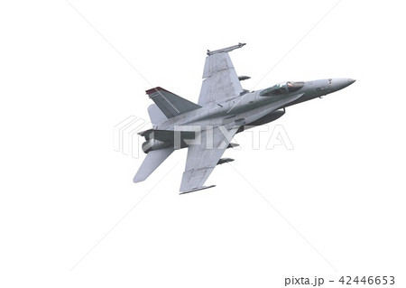大空を旋回飛行する米海兵隊の空母艦載機F-18Cホーネット戦闘攻撃機 大空を旋回飛行する米海兵隊の空母艦載機F-18Cホーネット戦闘攻撃機 42446653