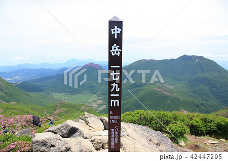 ミヤマキリシマ咲く九重連山・中岳 ミヤマキリシマ咲く九重連山・中岳 42447295