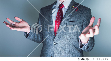 国会議員 42449545