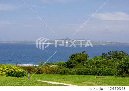 海洋公園の風景 42450343