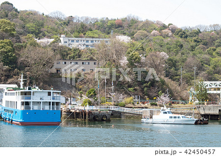 桜咲く金輪島の景色の写真素材