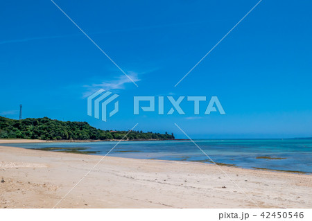 漢那ビーチ 42450546