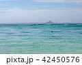 綺麗な海と島の写真 42450576