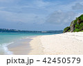 砂浜とビーチと山 42450579