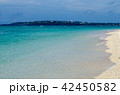 美しい砂浜とビーチ・島 42450582