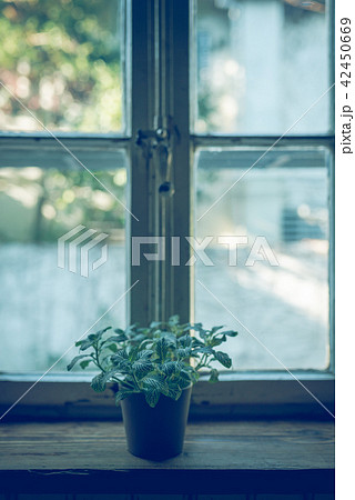 ライフスタイル 42450669