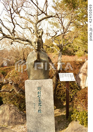 野村望東尼の碑 野村望東尼の碑 42450849