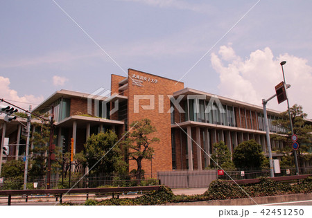 武庫川女子大学 42451250
