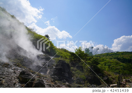 筋湯温泉　小松地獄　大分県 42451439