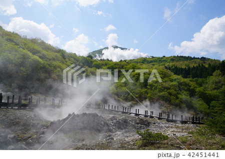 筋湯温泉　小松地獄　大分県 42451441